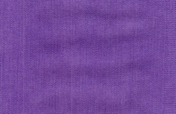 G T V Dahlia Purple – 3, CBL