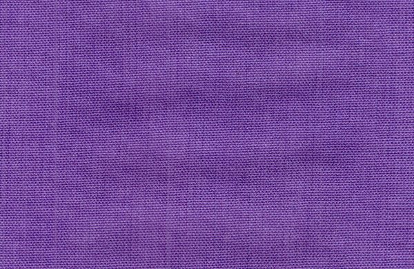 G T V Dahlia Purple – 3, CBL G T V Dahlia Purple – 3, CBL